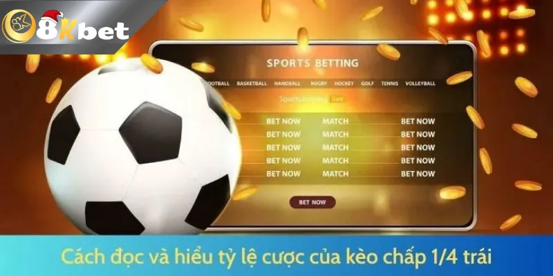Cách Đọc Kèo Bóng Đá 8KBET Siêu Chuẩn Cho Game Thủ Cách đọc kèo chấp 1/4 chuẩn