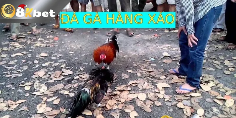 Kinh Nghiệm Đá Gà Hàng Xáo Tại 8KBET Nhận Thưởng khủng Thuật ngữ đá gà hàng xáo là gì?